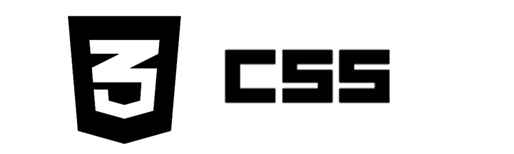 css_logo